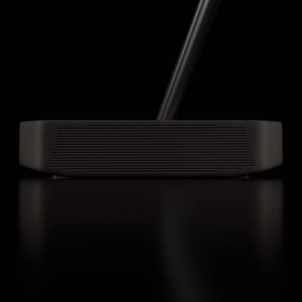 DF3 Stock Putter