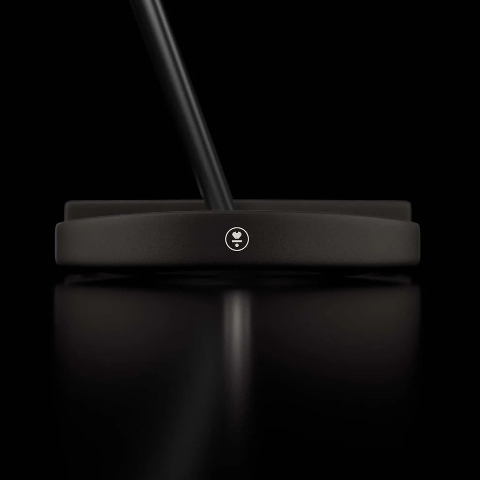 DF3 Stock Putter