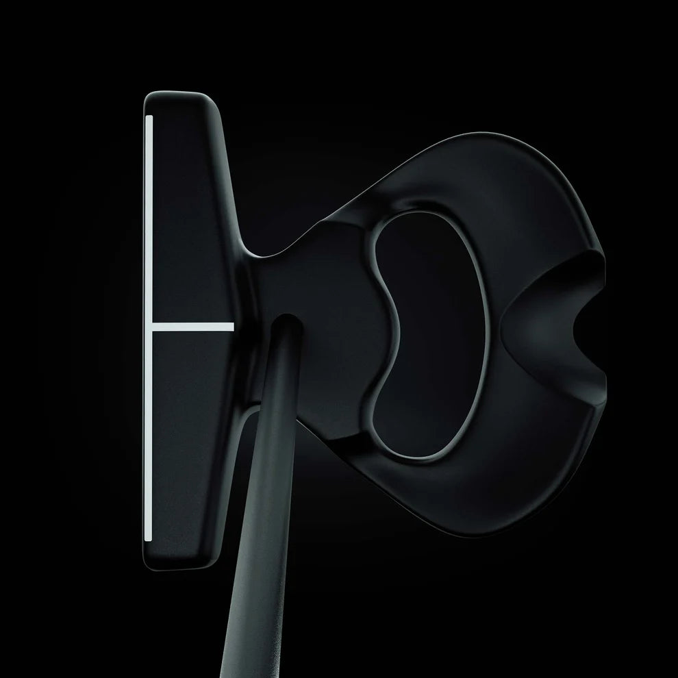 DF2.1 Stock Putter