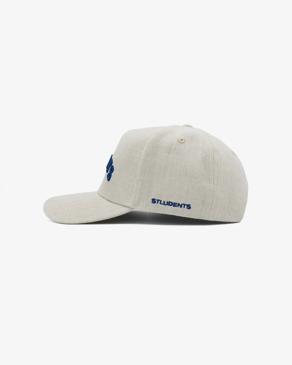 Expert Snap Back Hat